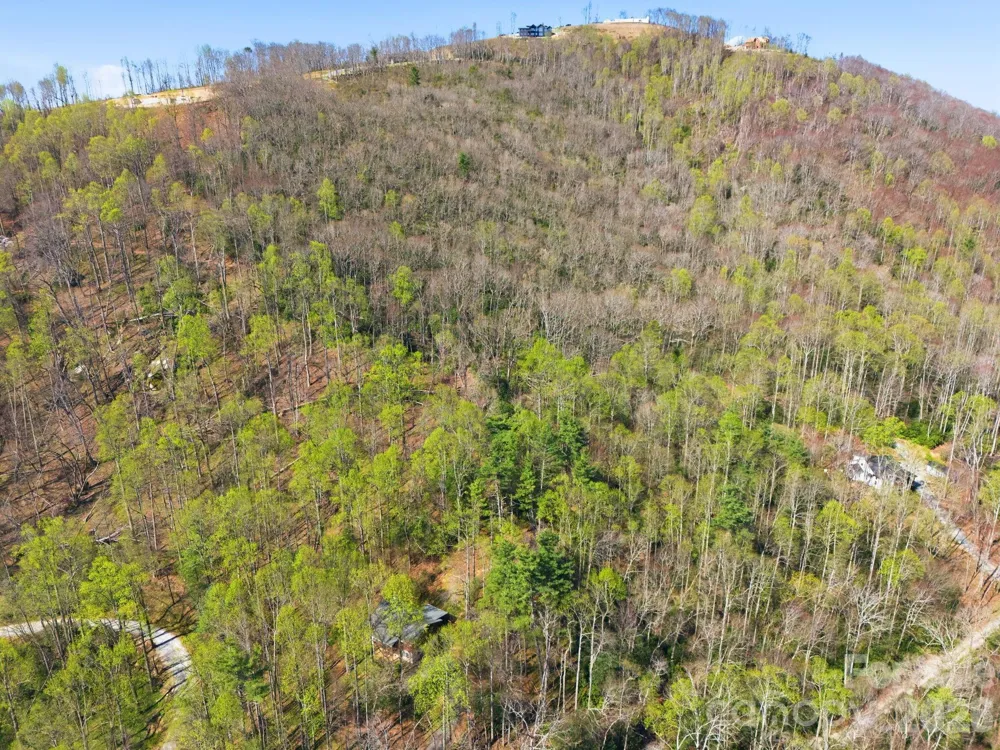 00 Lazy Bear Trail #35 & 36 Hendersonville, NC 28792