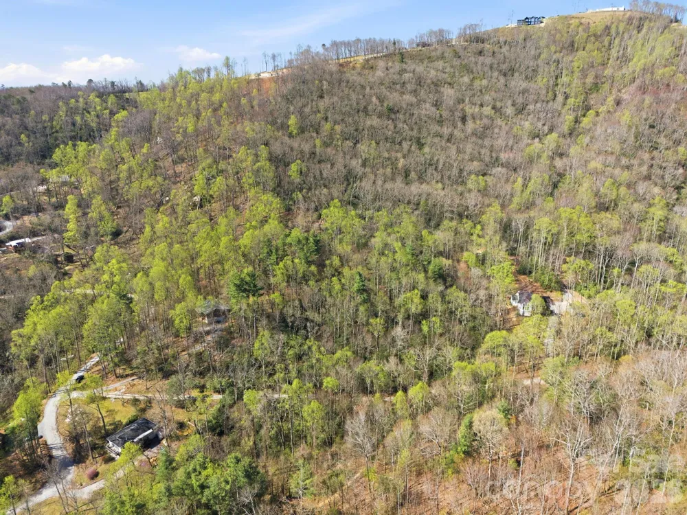 00 Lazy Bear Trail #35 & 36 Hendersonville, NC 28792