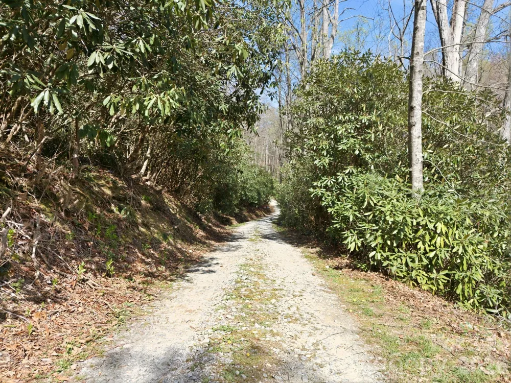 00 Lazy Bear Trail #35 & 36 Hendersonville, NC 28792