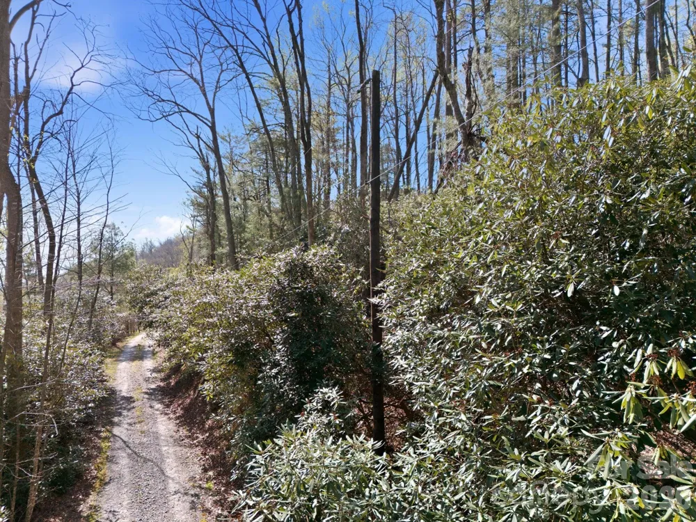 00 Lazy Bear Trail #35 & 36 Hendersonville, NC 28792