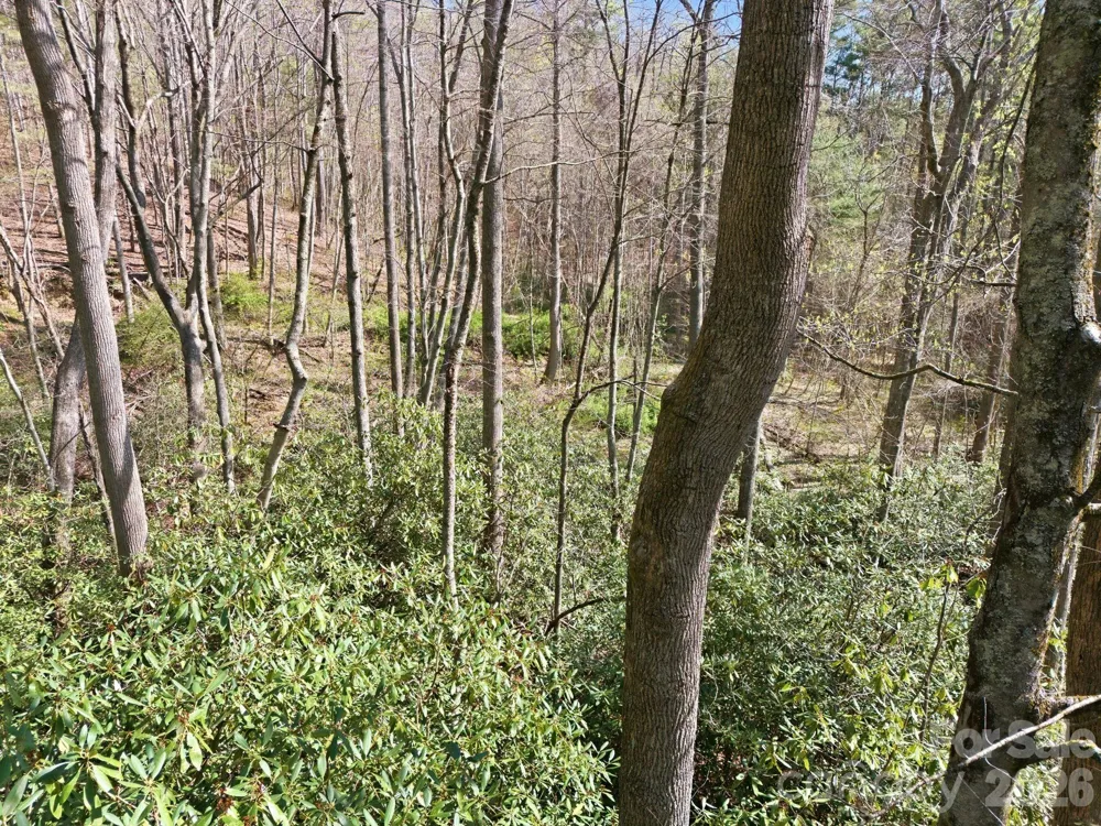 00 Lazy Bear Trail #35 & 36 Hendersonville, NC 28792