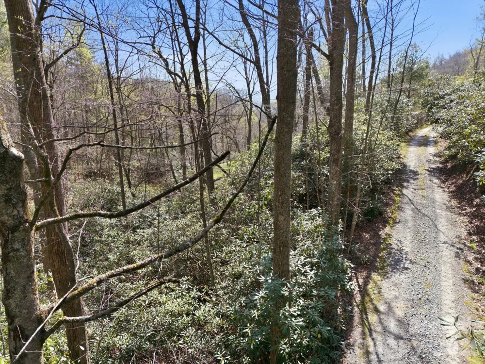 00 Lazy Bear Trail #35 & 36 Hendersonville, NC 28792