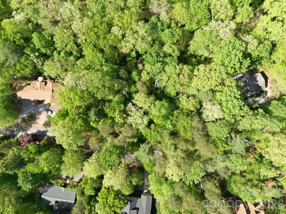 Lot 50 Huntington Road #50 Lake Lure, NC 28746