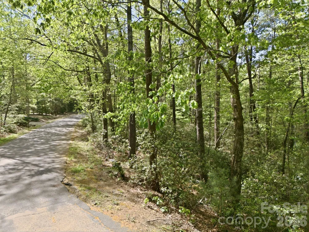 Lot 50 Huntington Road #50 Lake Lure, NC 28746