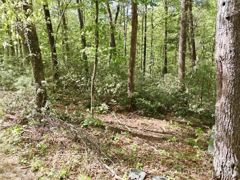 Lot 50 Huntington Road #50 Lake Lure, NC 28746
