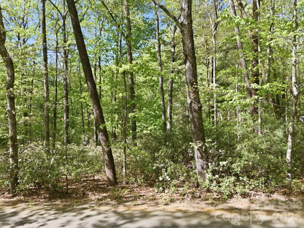 Lot 50 Huntington Road #50 Lake Lure, NC 28746