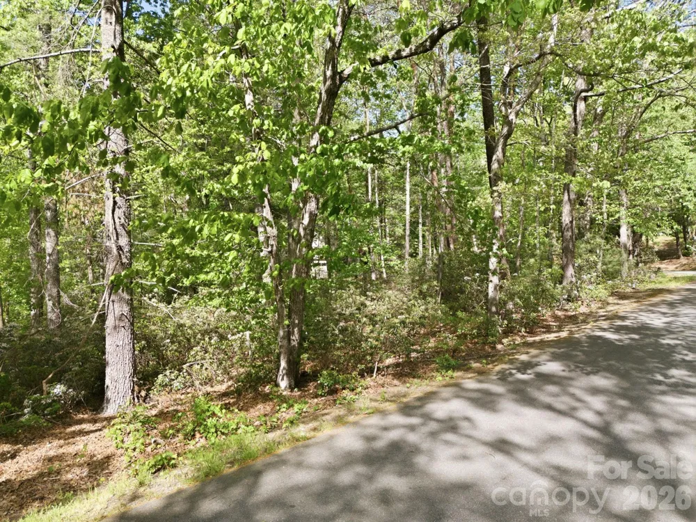 Lot 50 Huntington Road #50 Lake Lure, NC 28746