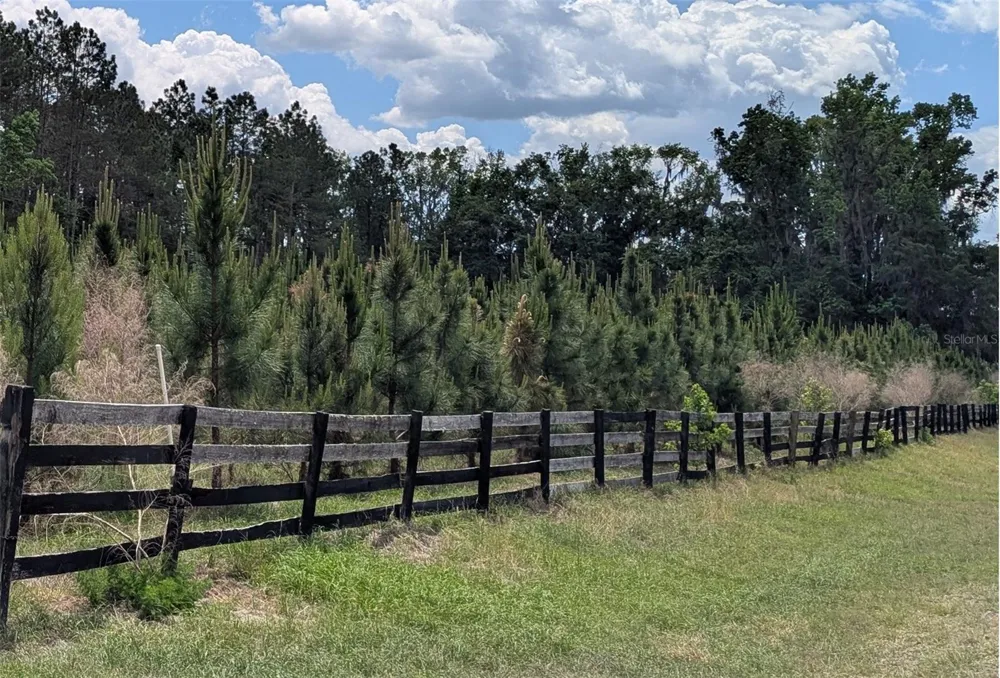 TBD NW 71ST TERRACE Gainesville, FL 32653