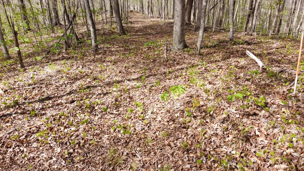 0 Off Johnson Chapel Rd Sparta, TN 38583