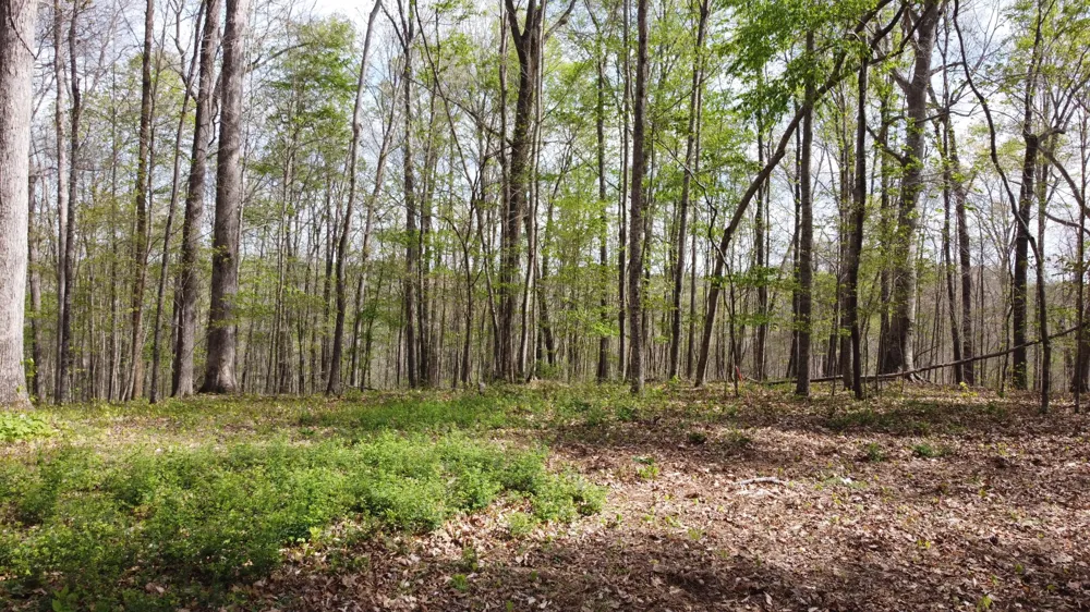 0 Off Johnson Chapel Rd Sparta, TN 38583