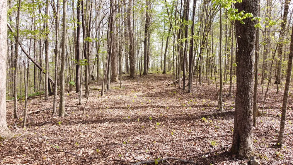 0 Off Johnson Chapel Rd Sparta, TN 38583