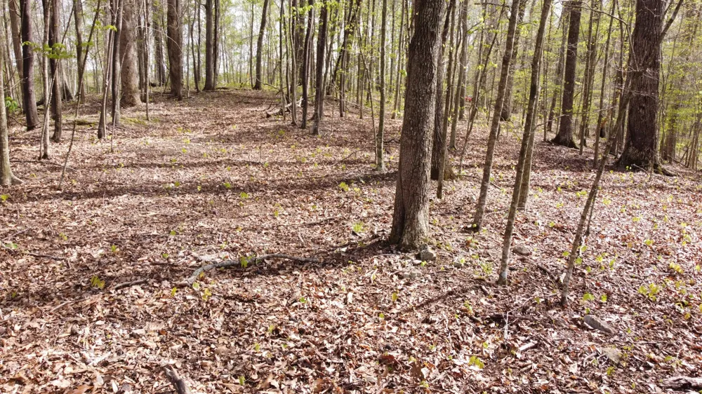 0 Off Johnson Chapel Rd Sparta, TN 38583