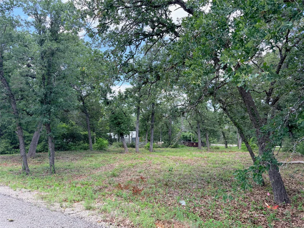 90 Arapaho Drive Smithville, TX 78957
