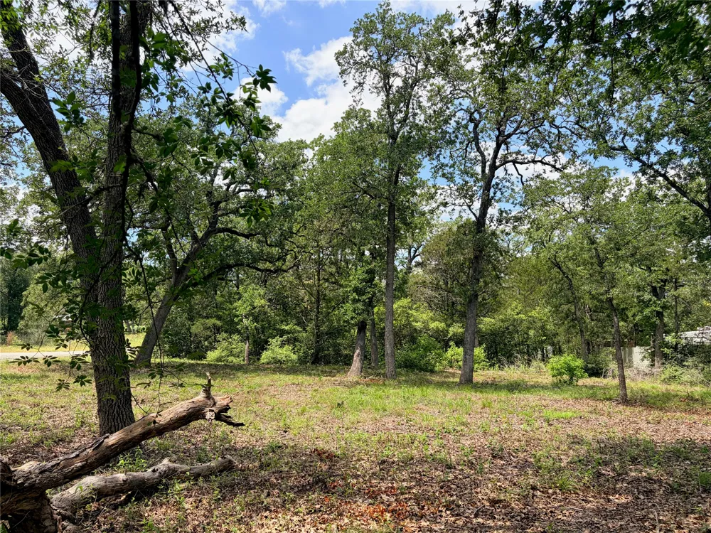 90 Arapaho Drive Smithville, TX 78957