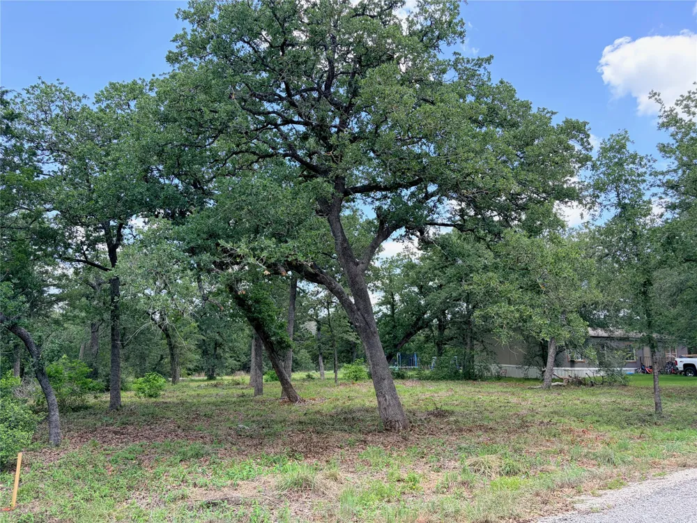 90 Arapaho Drive Smithville, TX 78957