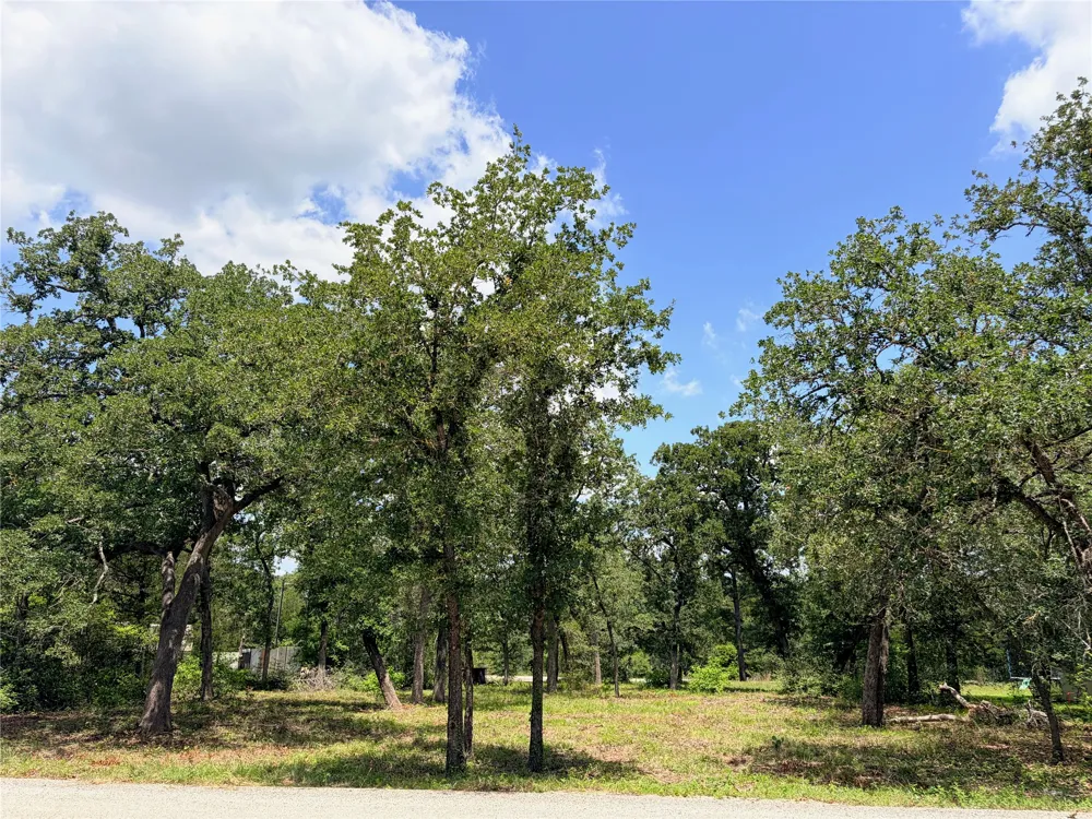 90 Arapaho Drive Smithville, TX 78957