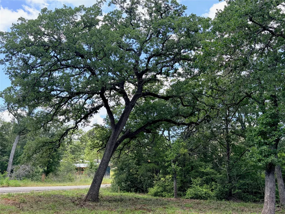 90 Arapaho Drive Smithville, TX 78957