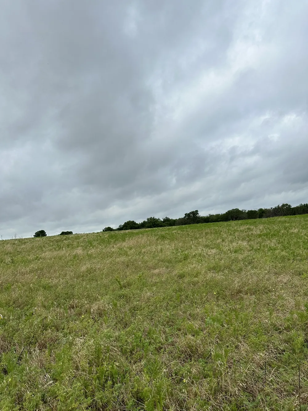 Old Sandborn Ranch Road Whitesboro, TX 76268