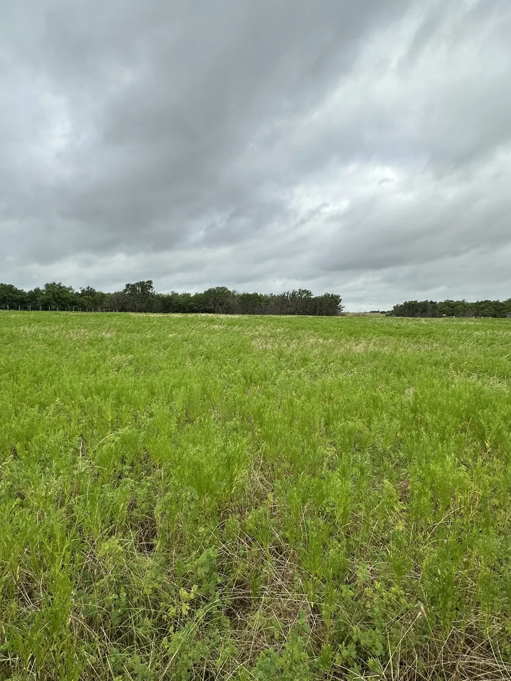 Old Sandborn Ranch Road Whitesboro, TX 76268