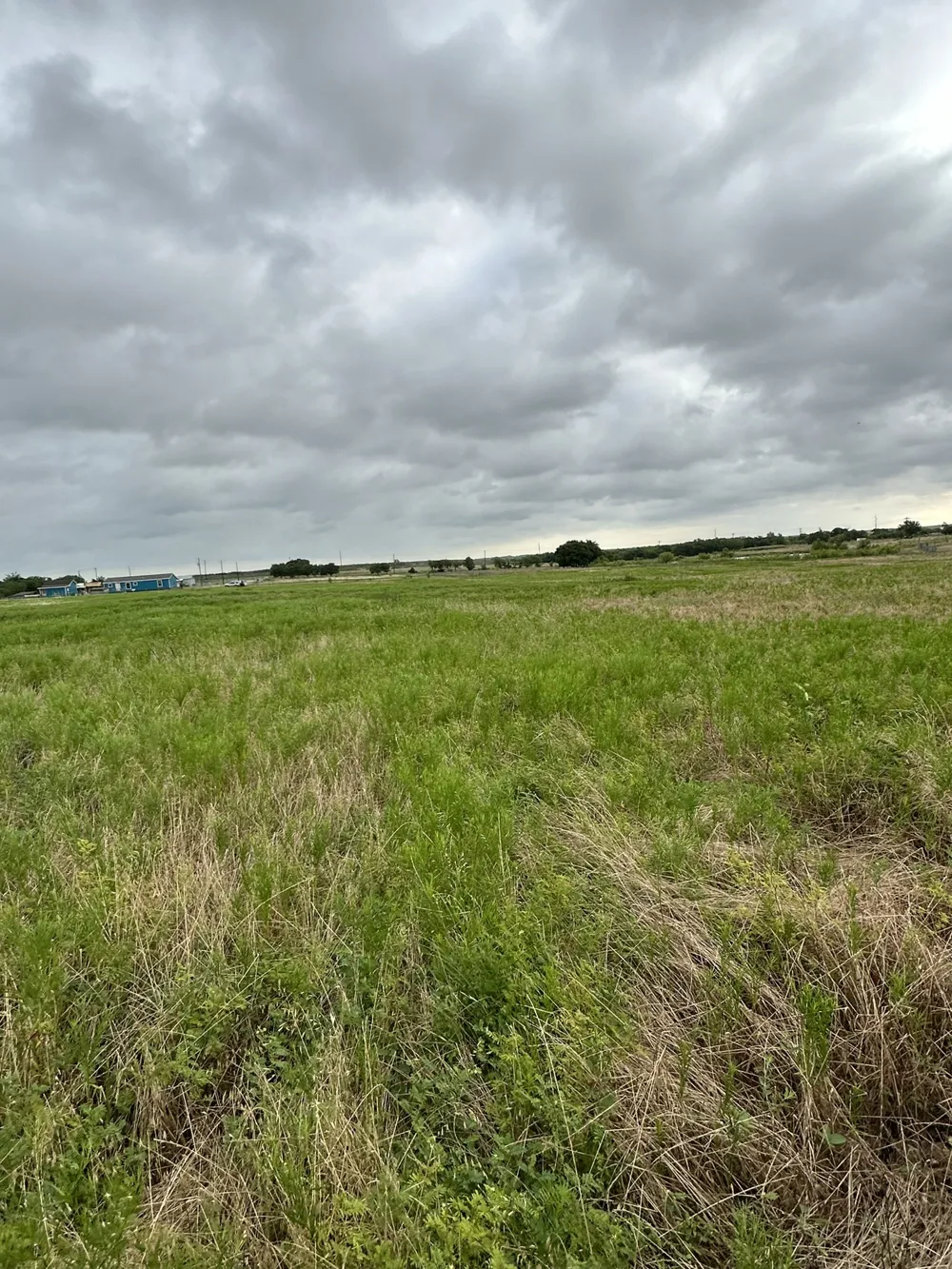 Old Sandborn Ranch Road Whitesboro, TX 76268
