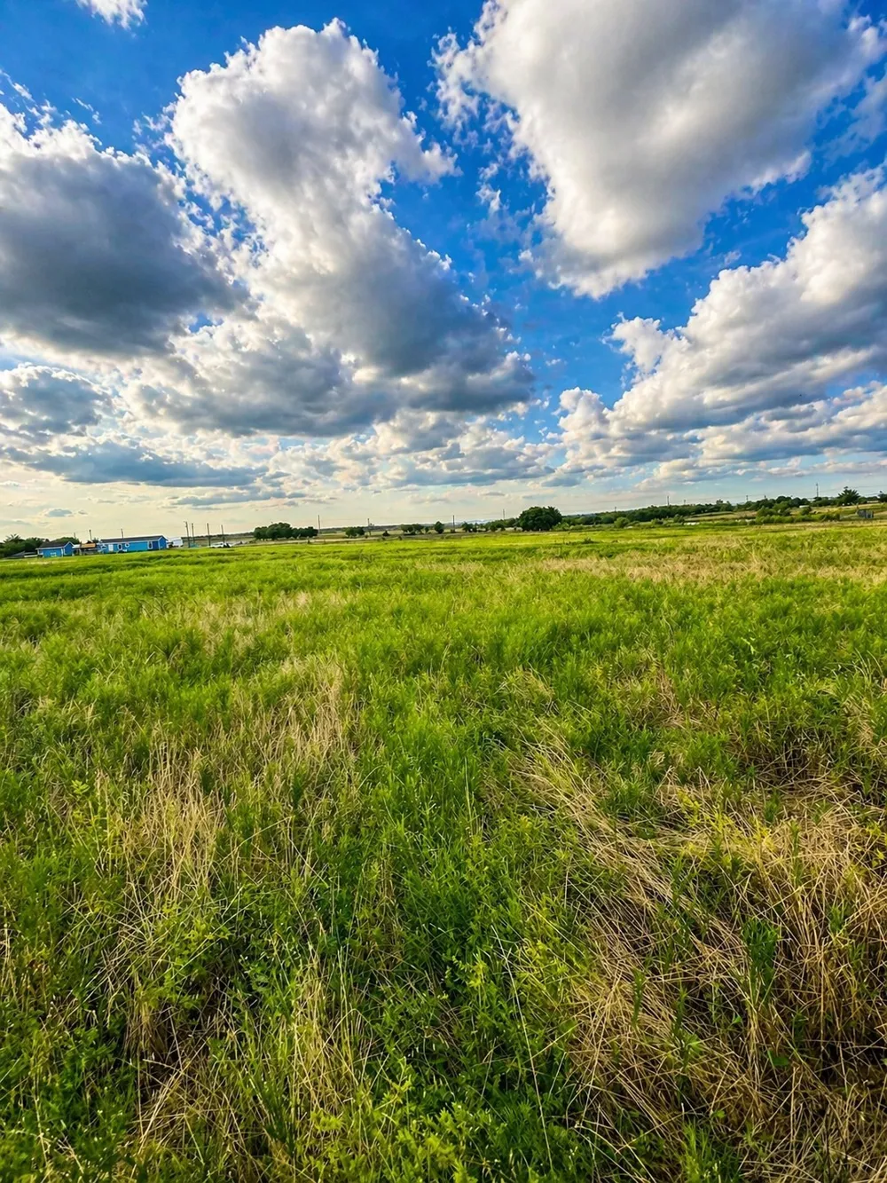 Old Sandborn Ranch Road Whitesboro, TX 76268