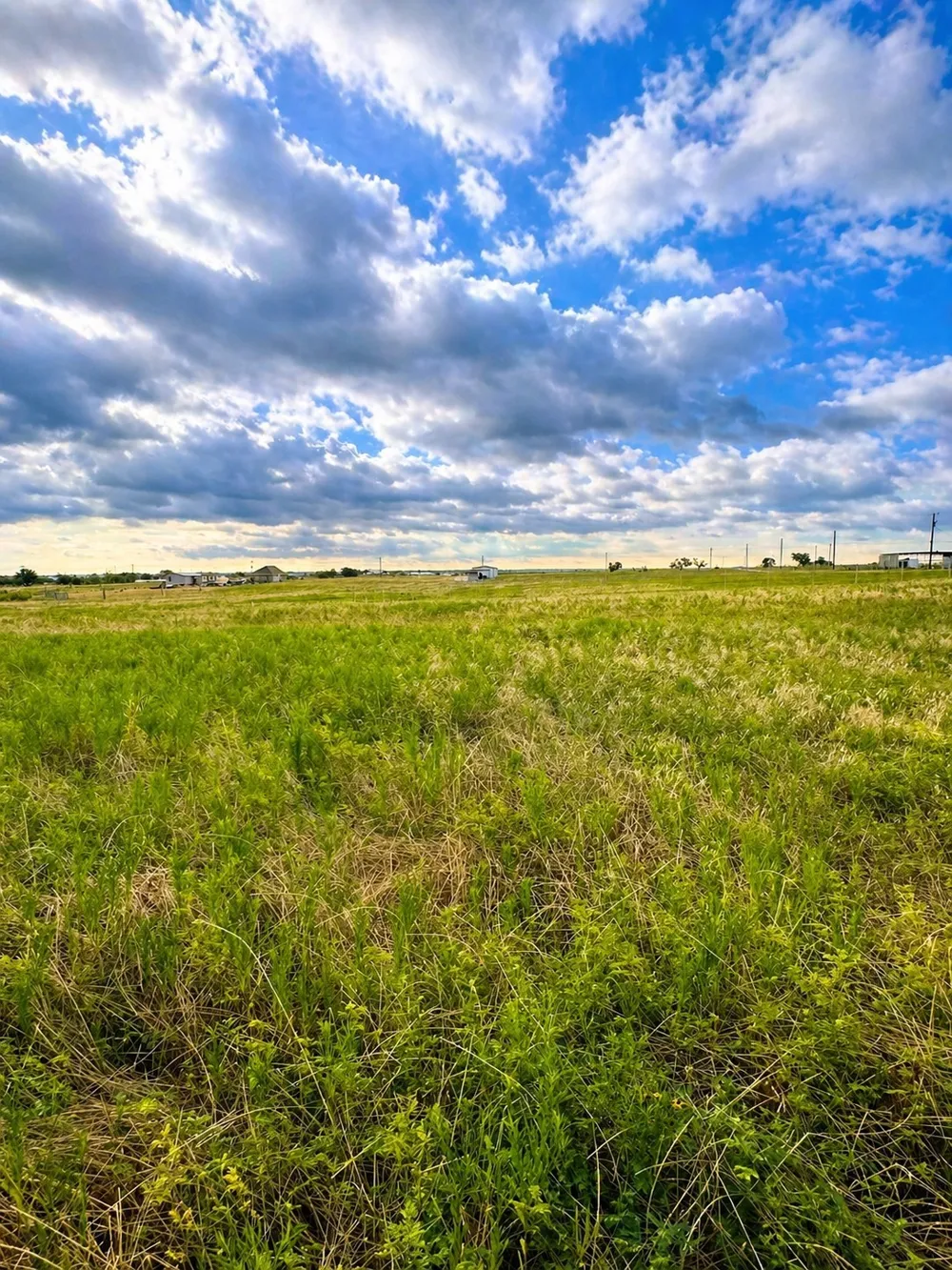 Old Sandborn Ranch Road Whitesboro, TX 76268