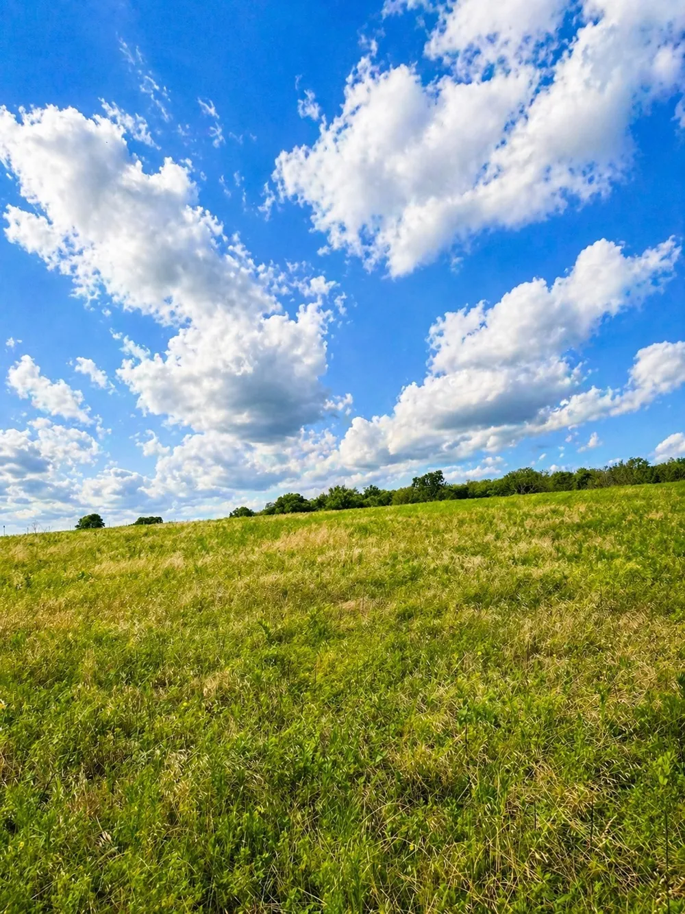 Old Sandborn Ranch Road Whitesboro, TX 76268