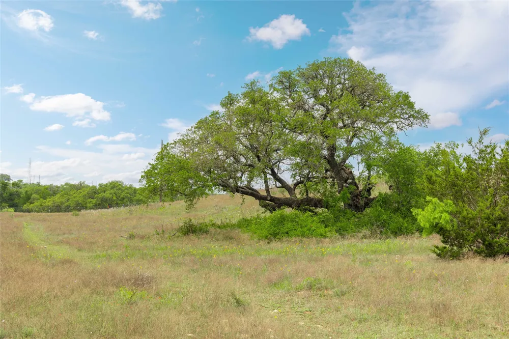 Comanche Hills Drive Comanche, TX 76442