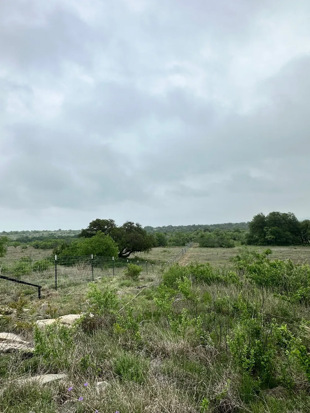 Comanche Hills Drive Comanche, TX 76442
