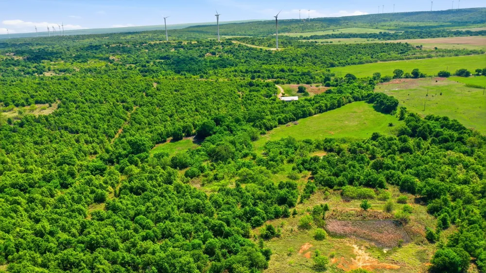 3180 Rock Creek Road Jacksboro, TX 76458