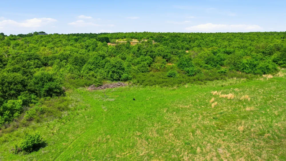 3180 Rock Creek Road Jacksboro, TX 76458