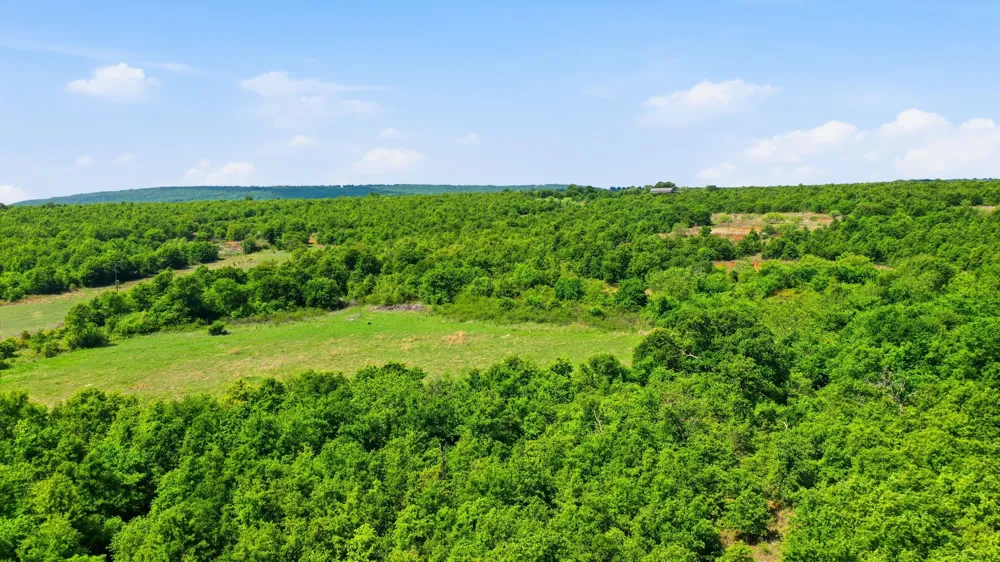 3180 Rock Creek Road Jacksboro, TX 76458