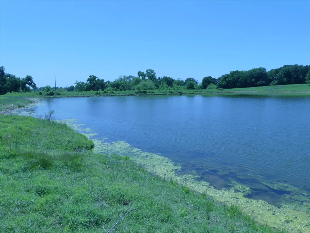 3421 School House Road Forestburg, TX 76239