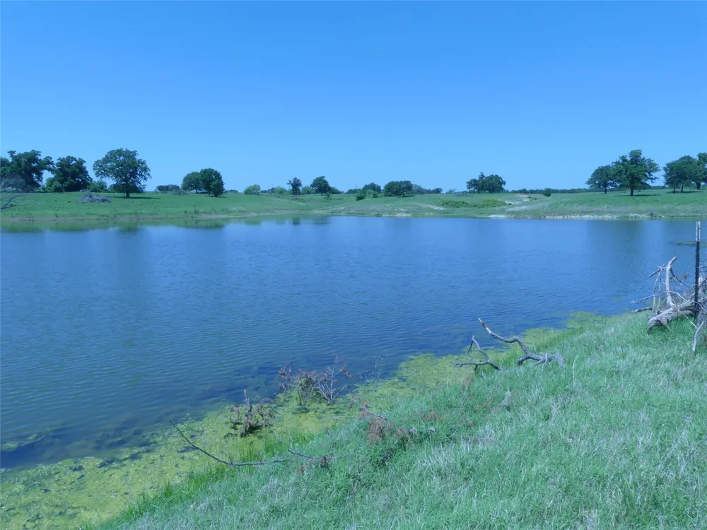 3421 School House Road Forestburg, TX 76239