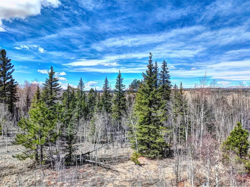 101 Patch Court Como, CO 80432