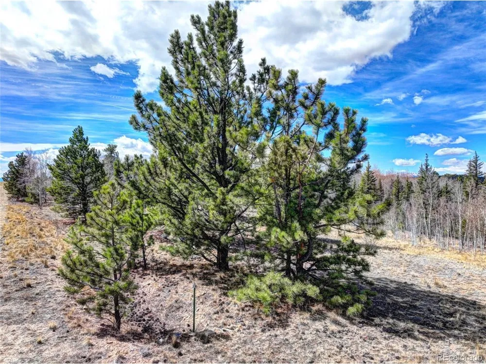 101 Patch Court Como, CO 80432