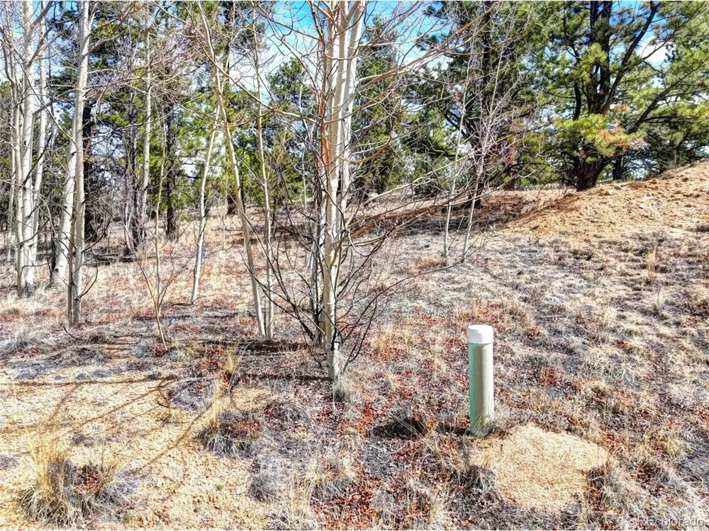 101 Patch Court Como, CO 80432