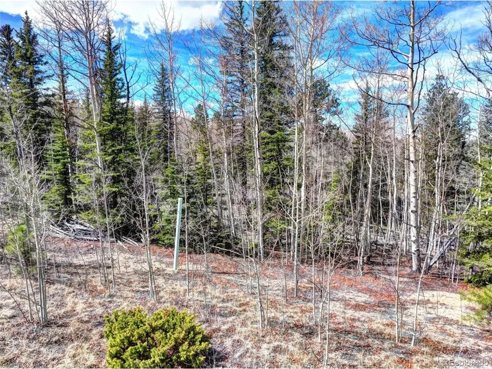 101 Patch Court Como, CO 80432