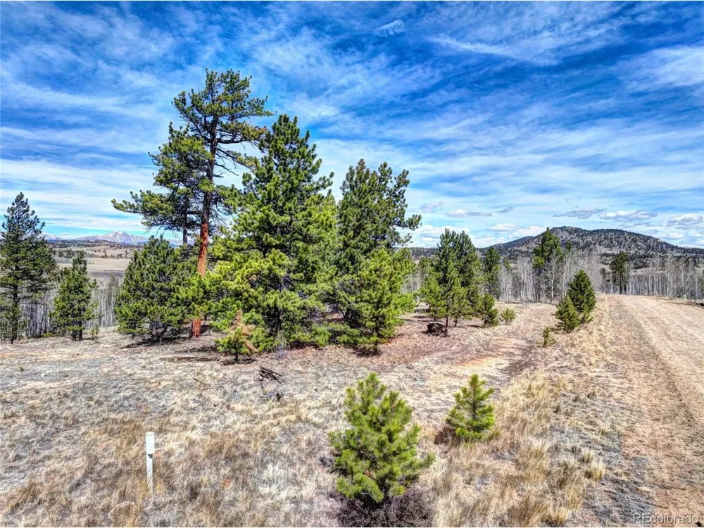 101 Patch Court Como, CO 80432