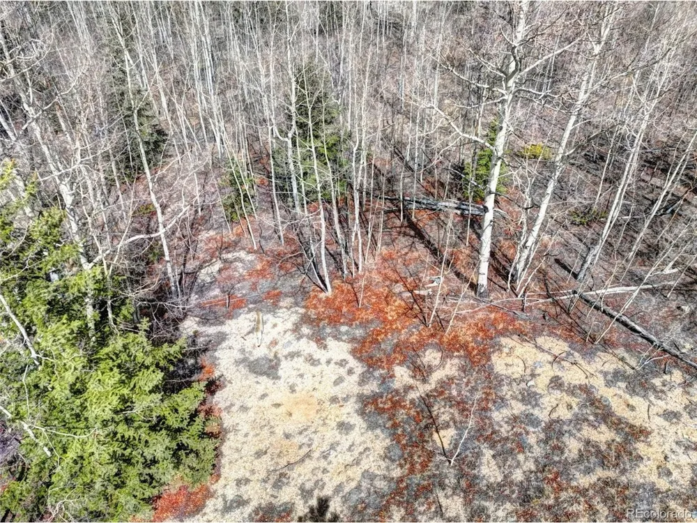 101 Patch Court Como, CO 80432