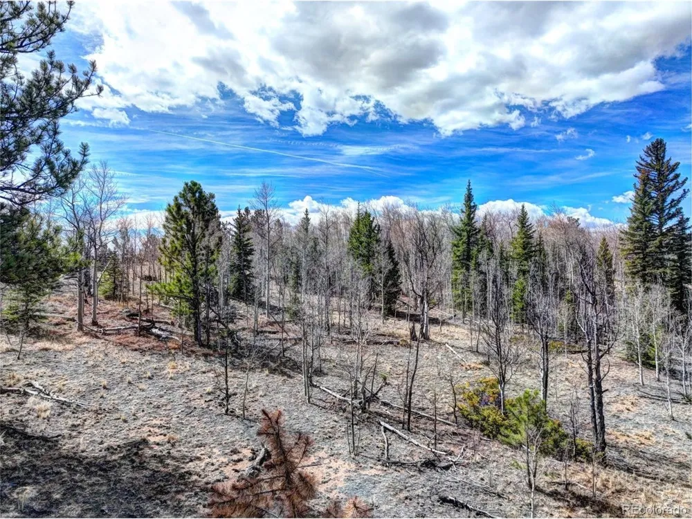 101 Patch Court Como, CO 80432