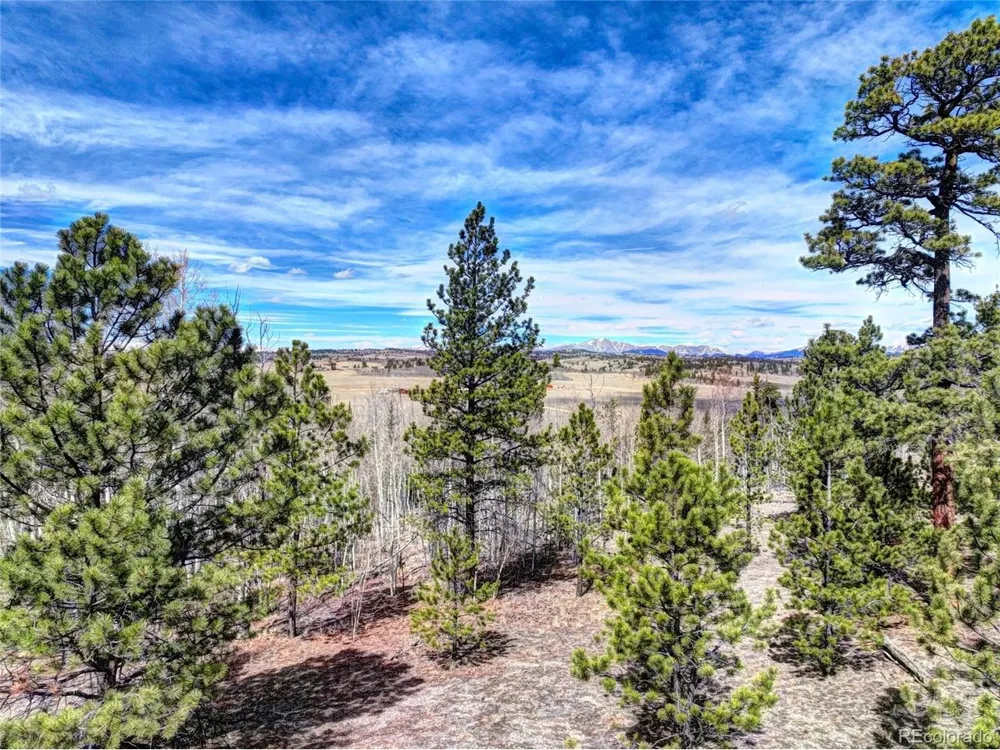 101 Patch Court Como, CO 80432