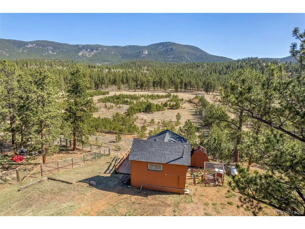 88 Neal Street Bailey, CO 80421