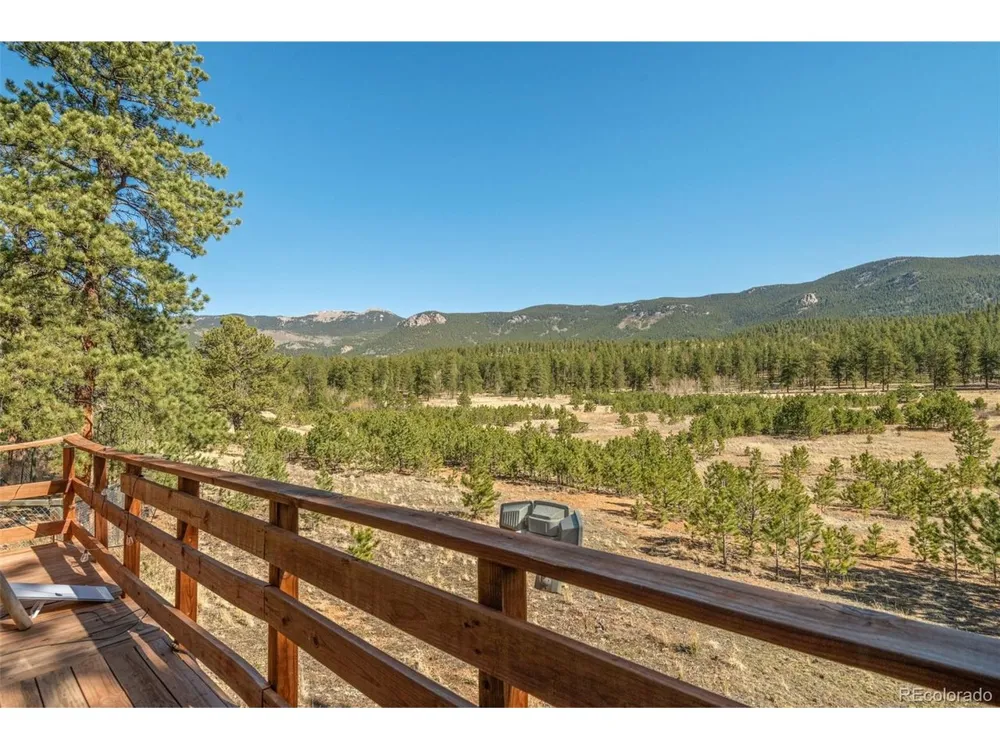 88 Neal Street Bailey, CO 80421