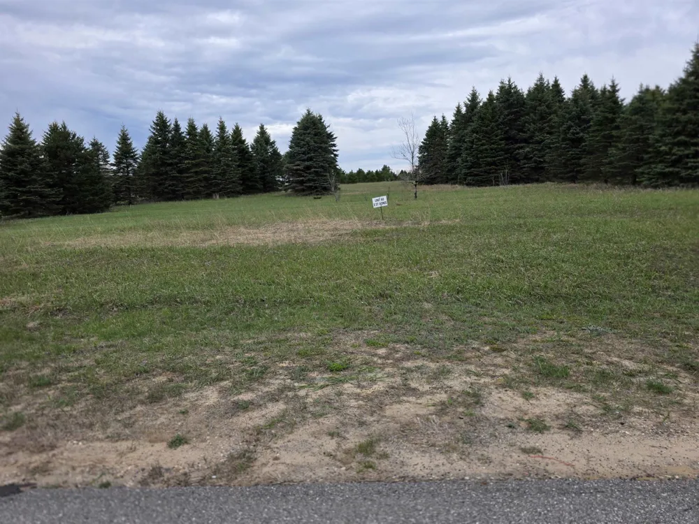 31 SE Blue Heron Drive Orange Township, MI 49646