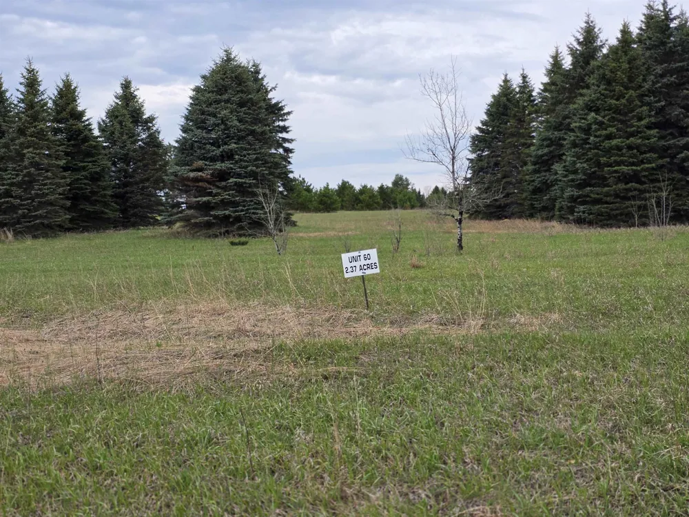 31 SE Blue Heron Drive Orange Township, MI 49646