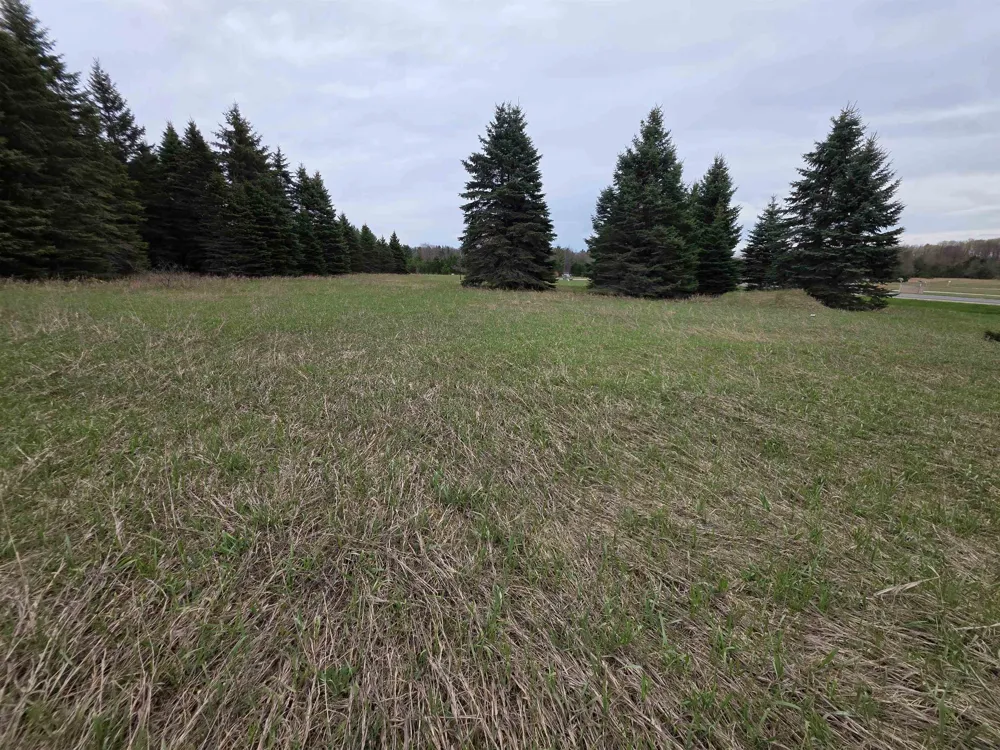 31 SE Blue Heron Drive Orange Township, MI 49646