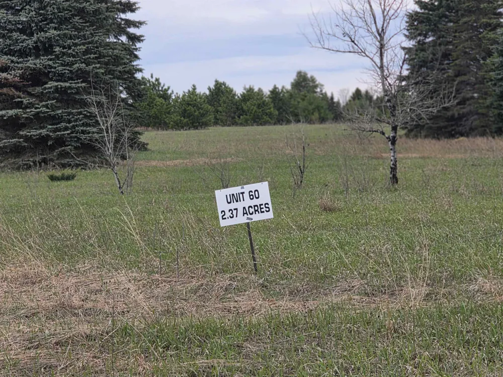 31 SE Blue Heron Drive Orange Township, MI 49646
