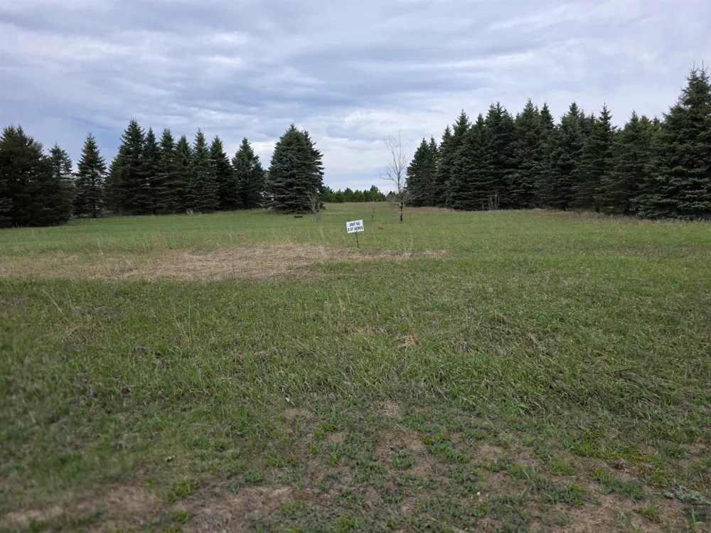 31 SE Blue Heron Drive Orange Township, MI 49646