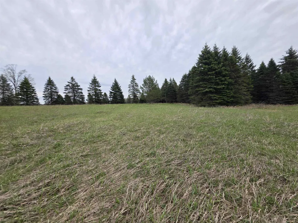 31 SE Blue Heron Drive Orange Township, MI 49646